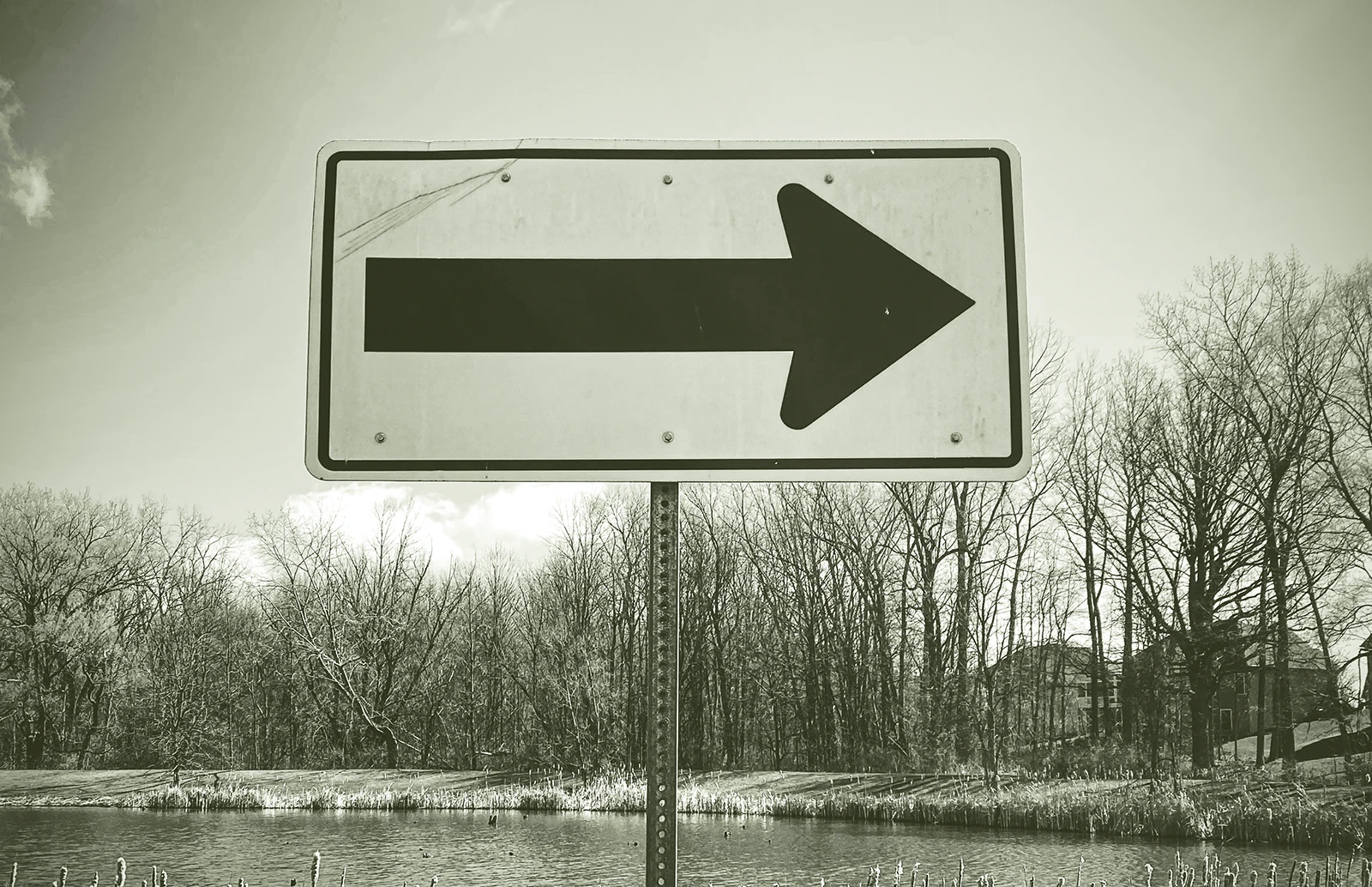 O poder do design profissional para o sucesso da sua marca Ilustração